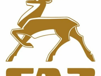 ГАЗ - Купить автомобильные ключи в Екатеринбурге - изготовление, ремонт, программирование